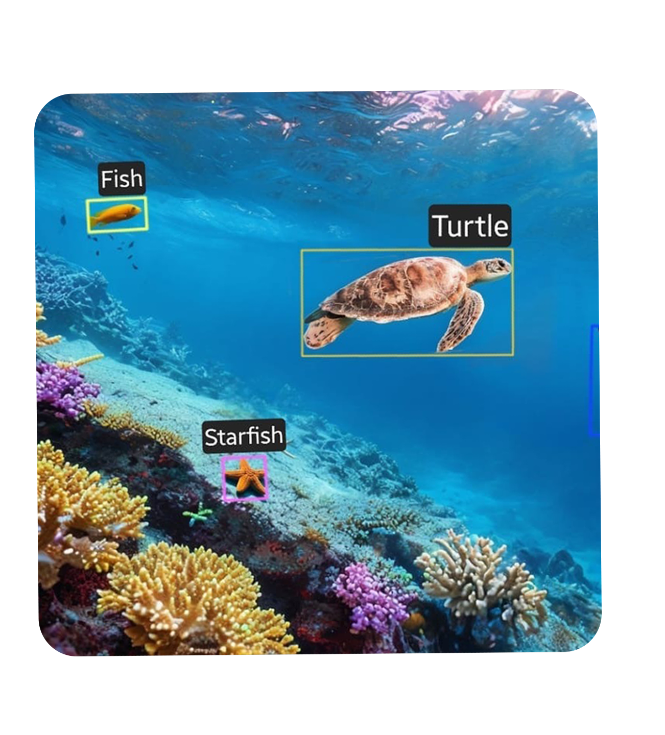 Marine life detection by AI